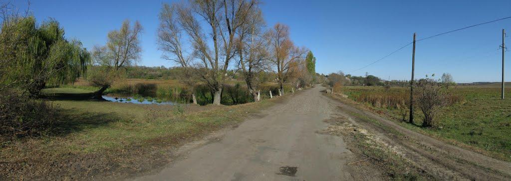 Івангород з panoramio.com - Івангород