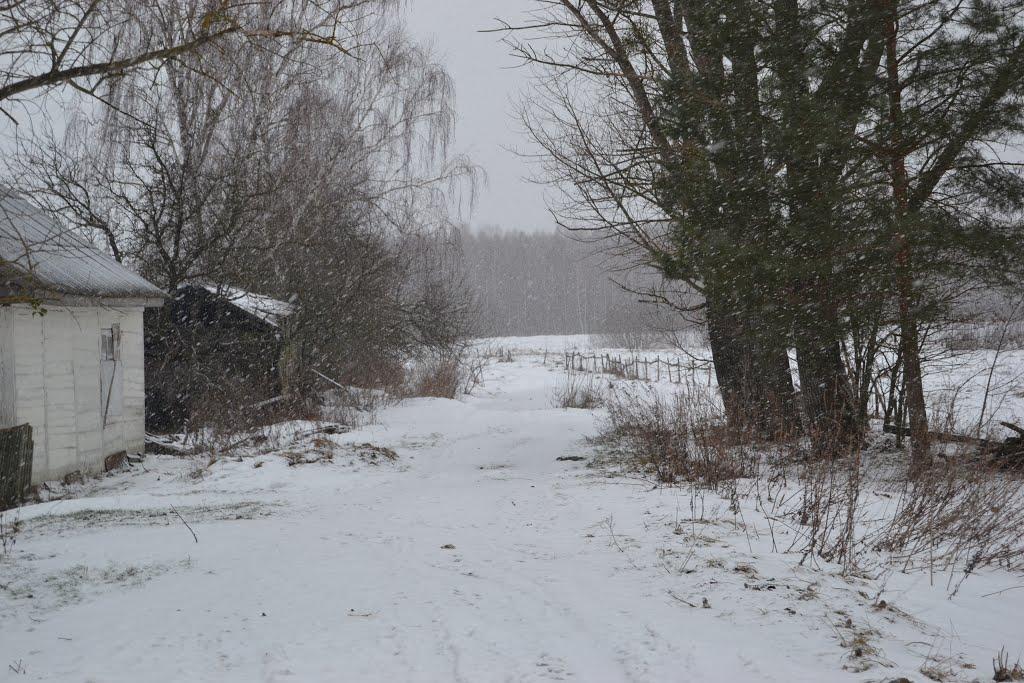 Берегове з panoramio.com - Береговое