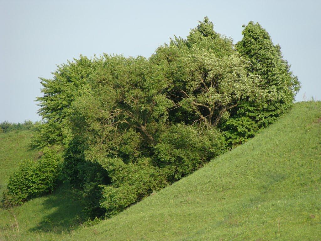 Кодаки з panoramio.com - Кодаки