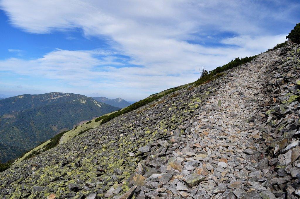 Осмолода з panoramio.com (ч.2) - Осмолода