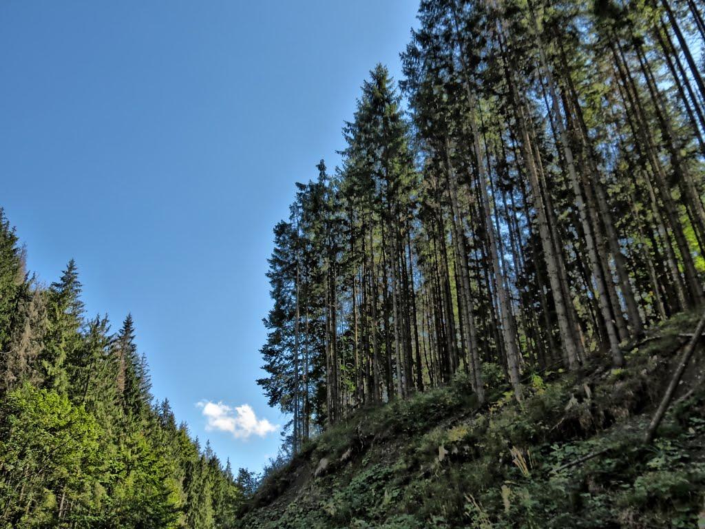 Нижня Рожанка з panoramio.com - Нижняя Рожанка