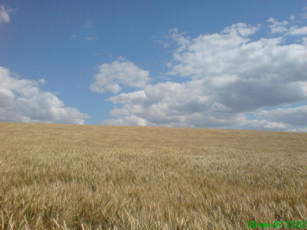 Долинівка з panoramio.com - Долиновка