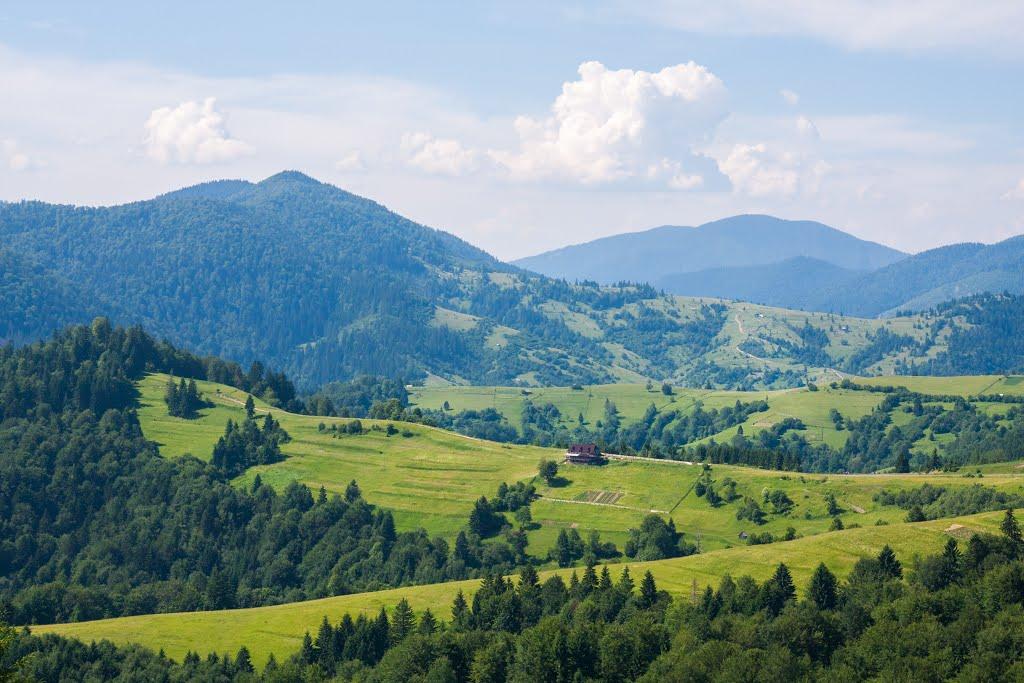 Стригальня з panoramio.com - Стригальня