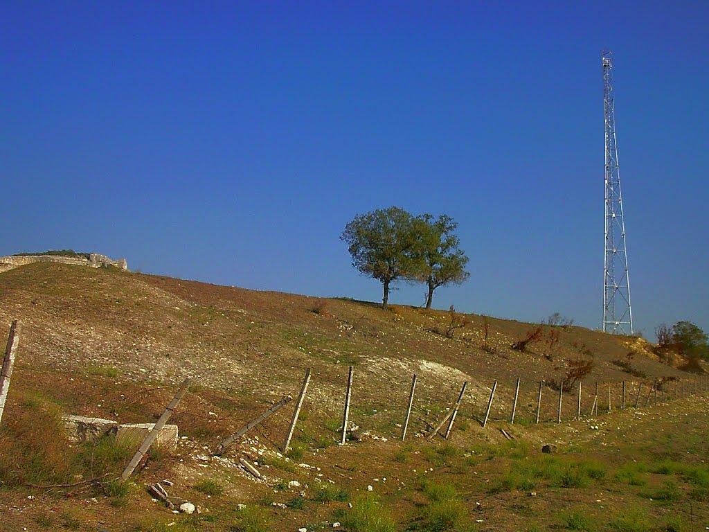 Красний Мак з panoramio.com - Красный Мак