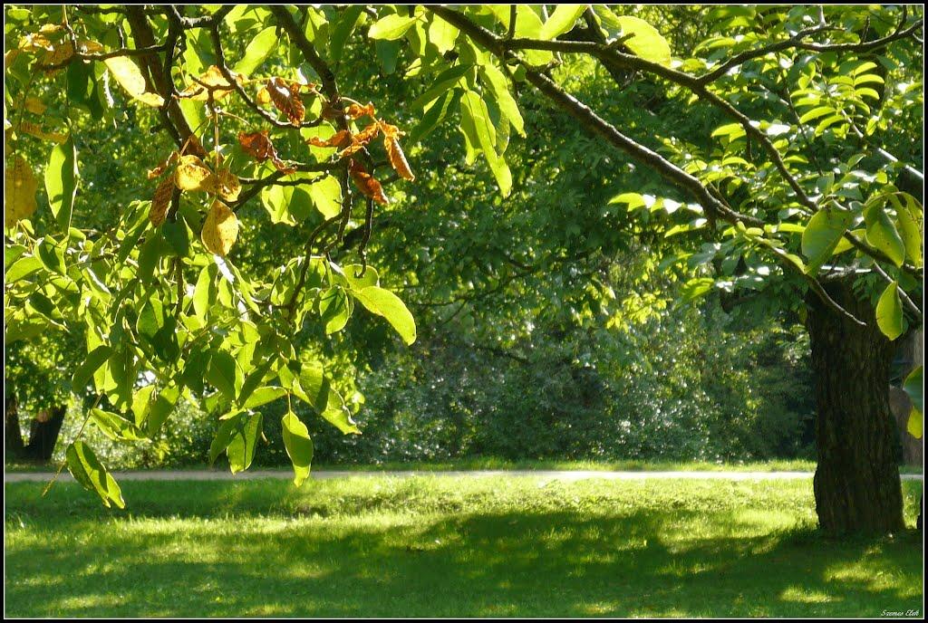 Галабор з panoramio.com - Galabor