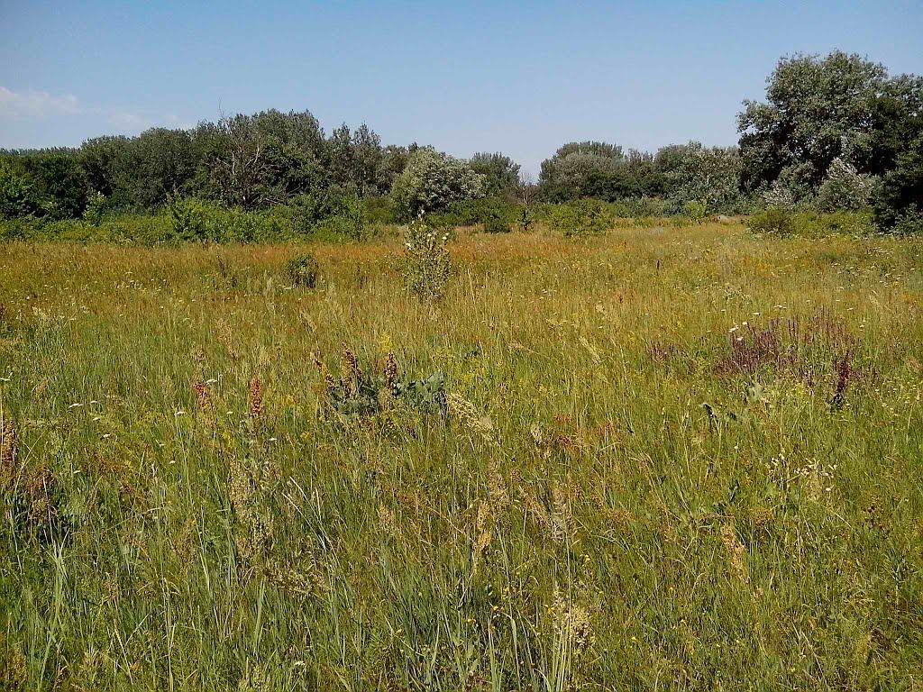 Говтва з panoramio.com - Говтва