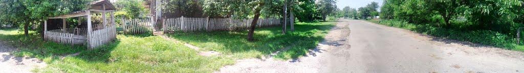 Червона Гребля з panoramio.com - Попова Гребля