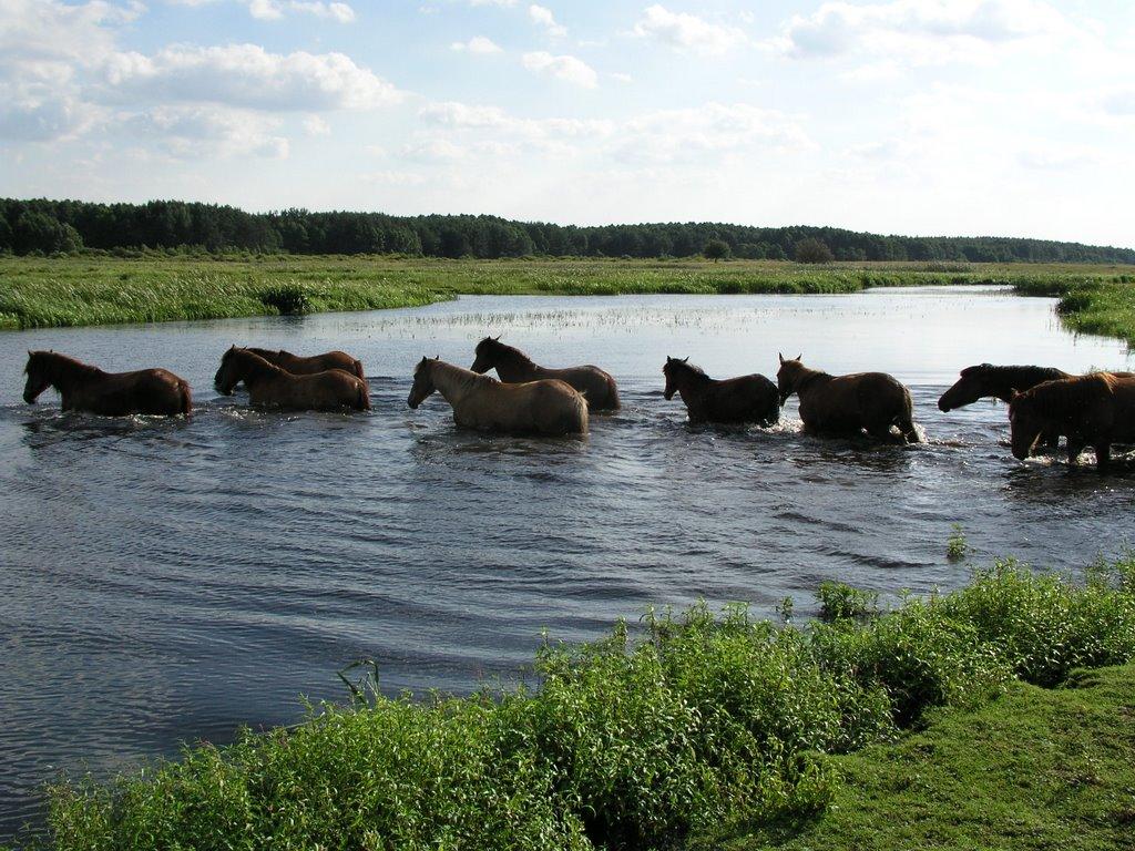 Угли з panoramio.com - Ugly