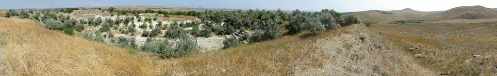Октябрське з panoramio.com - Октябрське