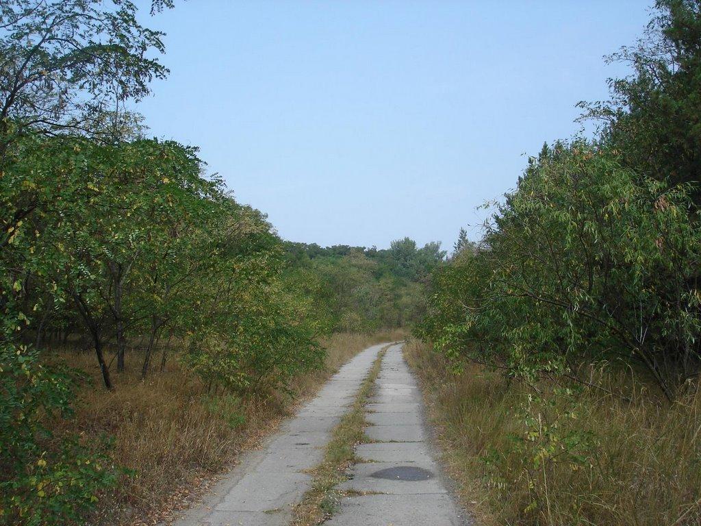 Осещина з panoramio.com - Осещина