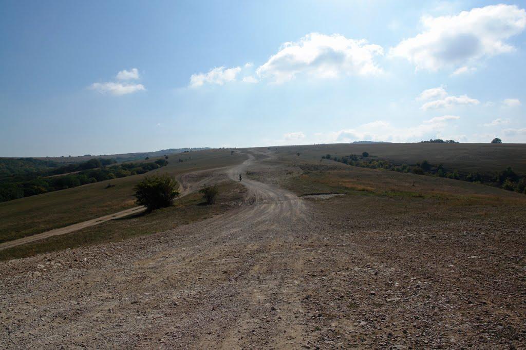 Дружне з panoramio.com - Дружне