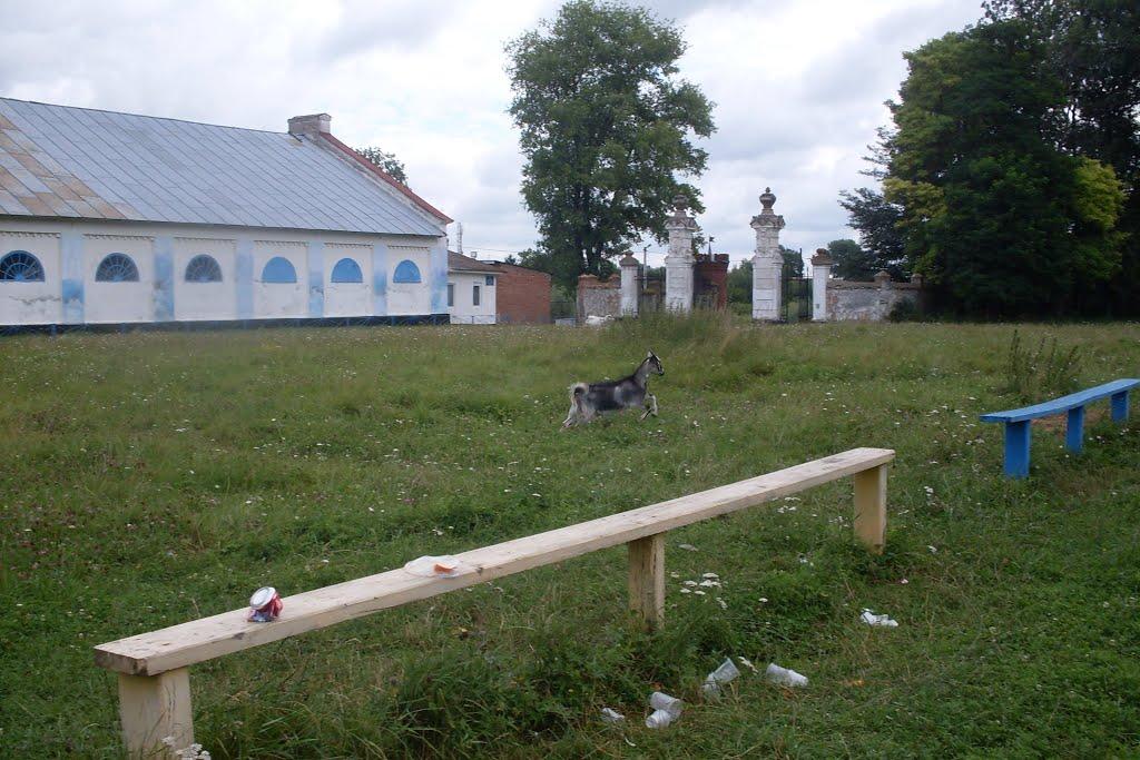 Антоніни з panoramio.com - Антоніни