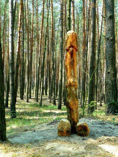 Дернівка з panoramio.com - Дернівка