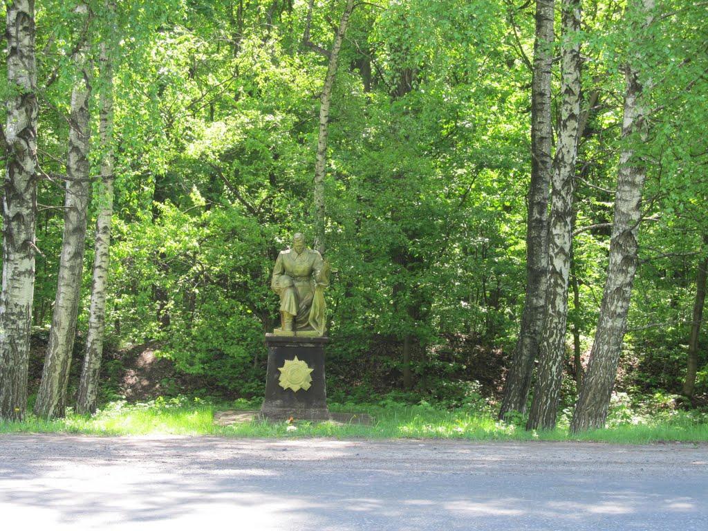 Диканька з panoramio.com - Dikanka