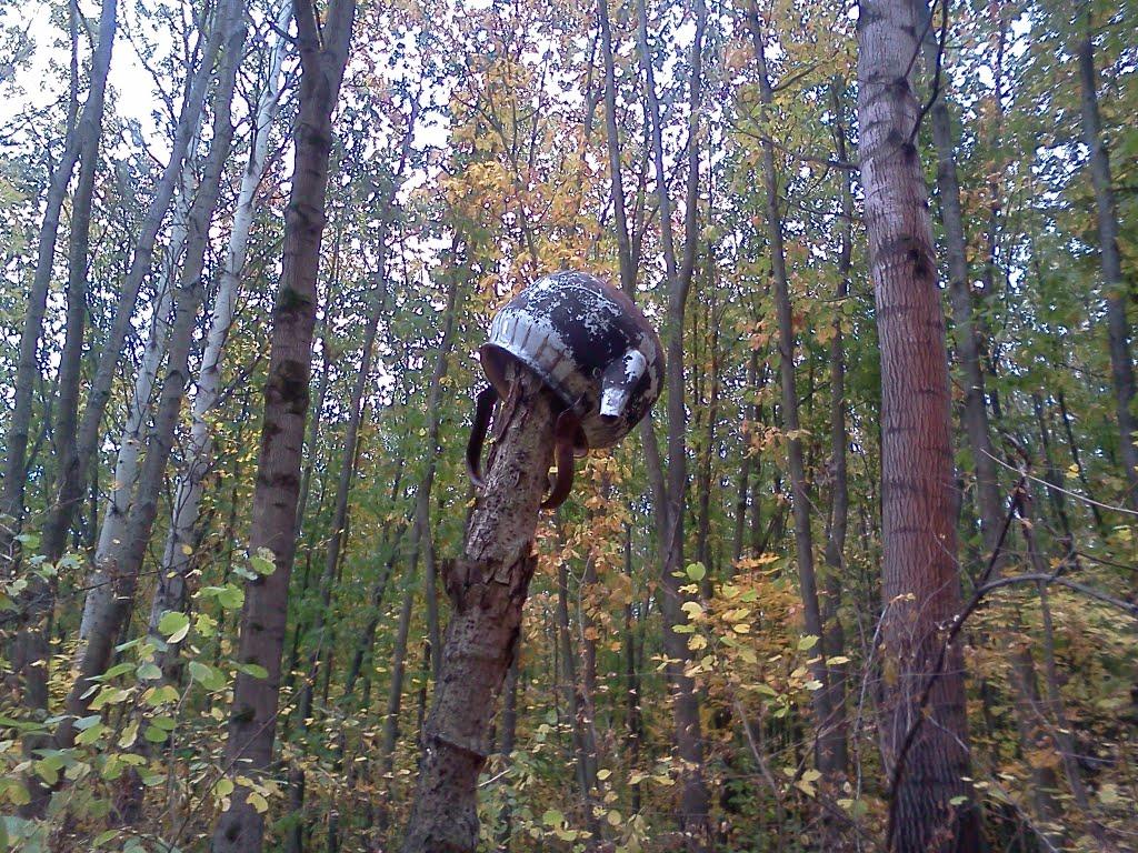 Руська Лозова з panoramio.com - Руська Лозова