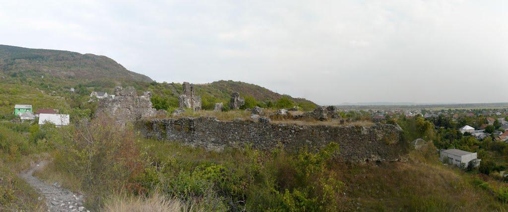 Виноградів з panoramio.com - Виноградов
