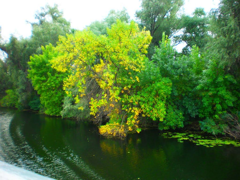 Гола Пристань з panoramio.com - Gola Prystan