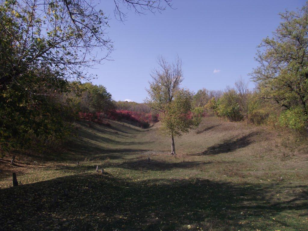 Артемівськ з panoramio.com (ч.2) - Артемівськ