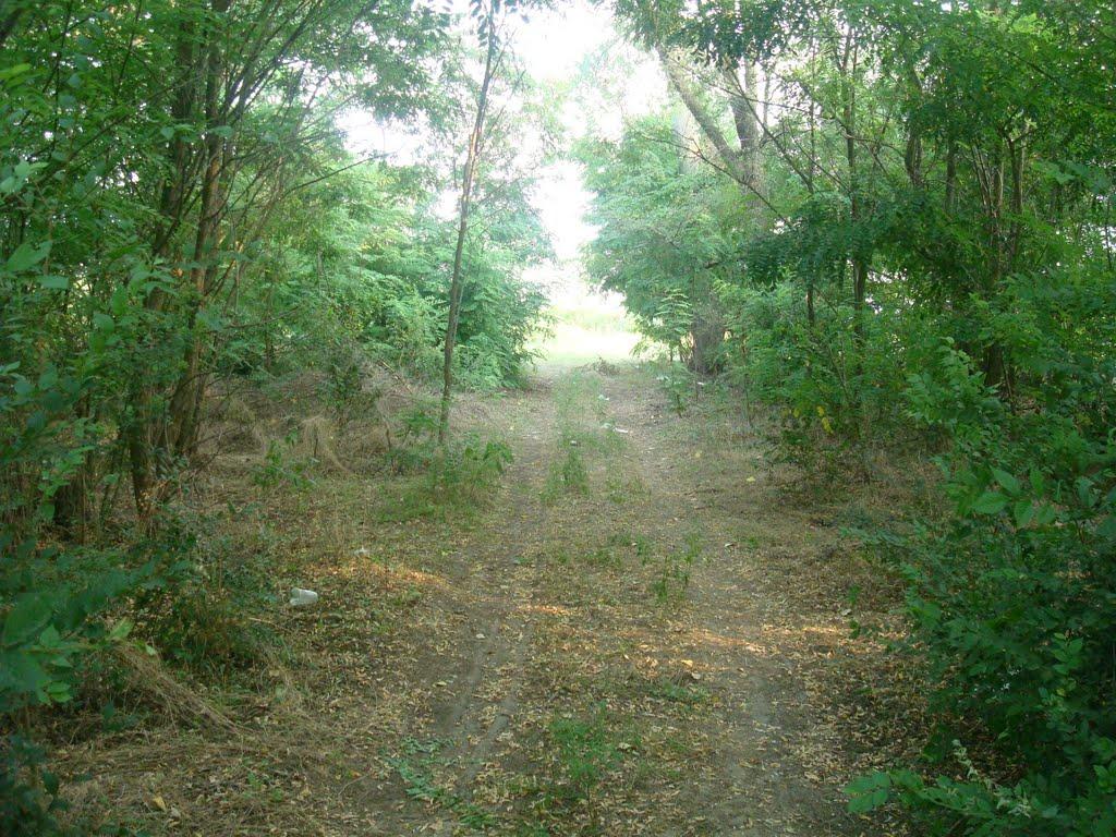 Привітне з panoramio.com - Приветное