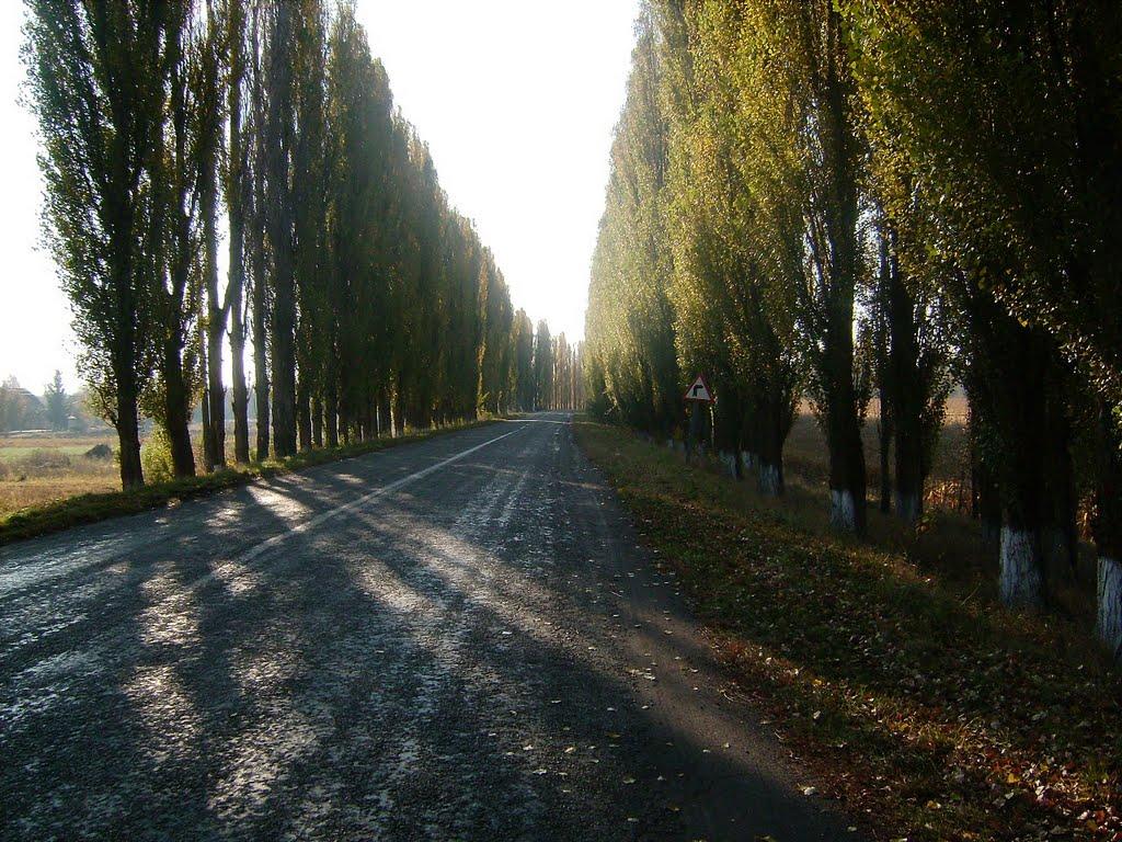 Середівка з panoramio.com - Середівка