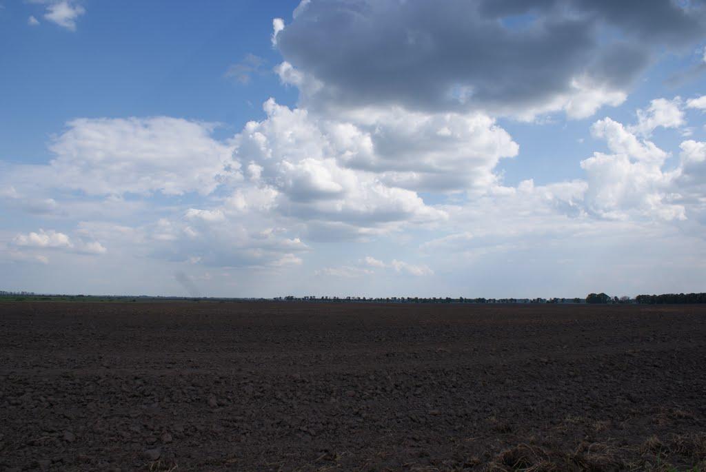 Бакаївка з panoramio.com - Бакаївка