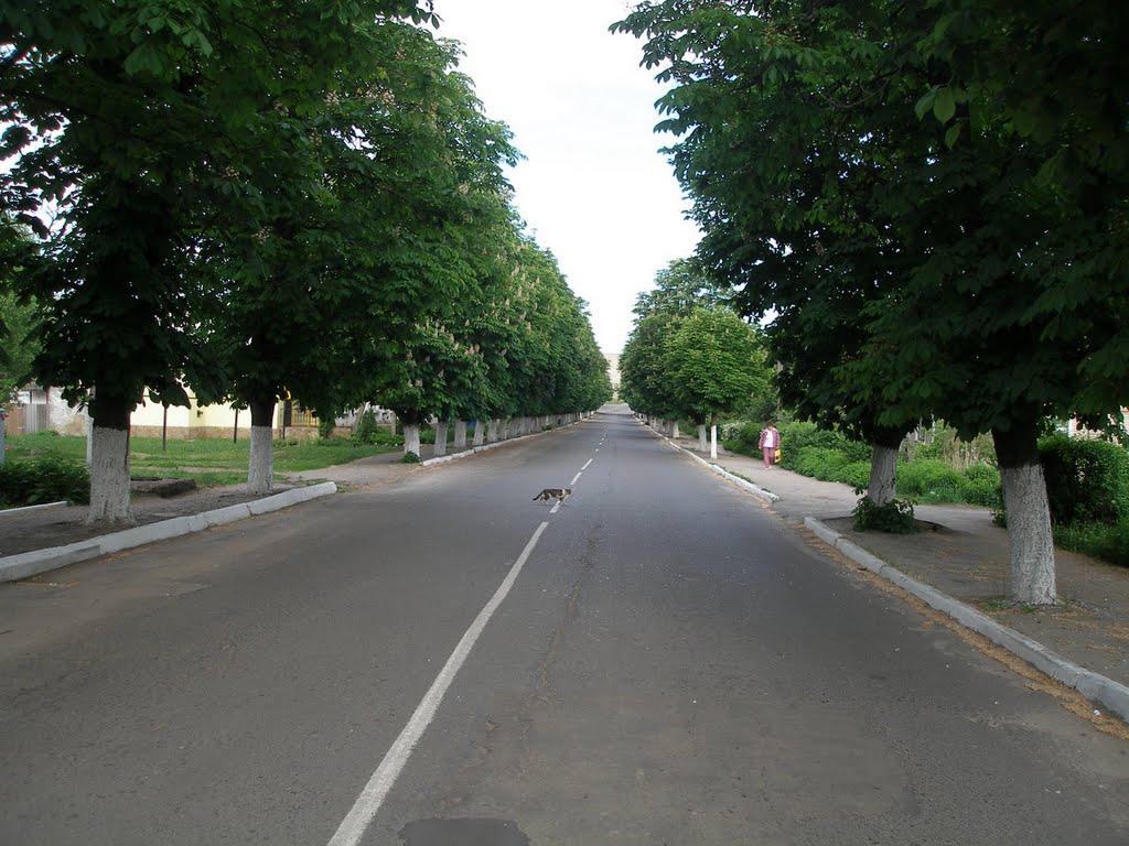 Тростянець з panoramio.com - Trostianets
