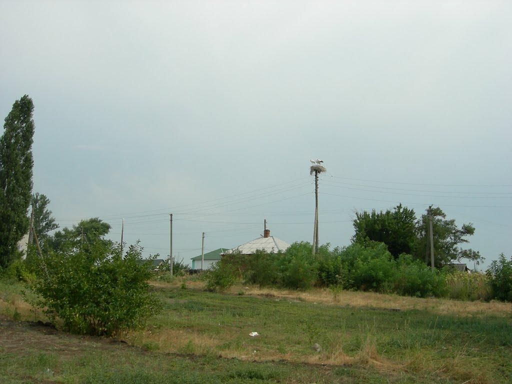 Мілуватка з panoramio.com - Мілуватка