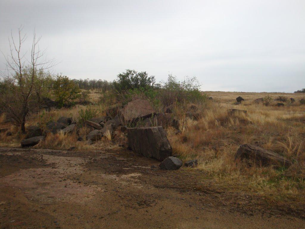 Новоселівка Друга з panoramio.com - Novoselivka Druga