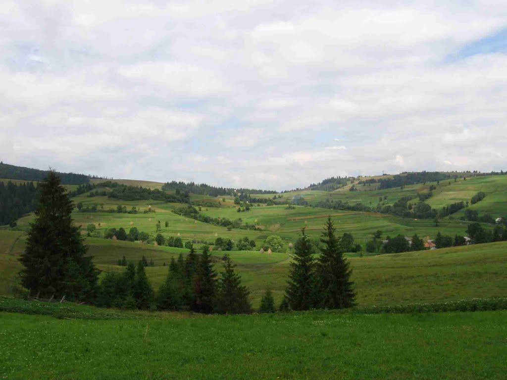 Осталовичі з panoramio.com - Осталовичі