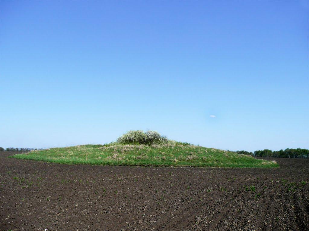 Зубівка з panoramio.com - Зубівка