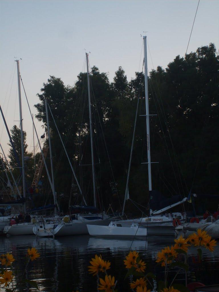 Осещина з panoramio.com - Осещина