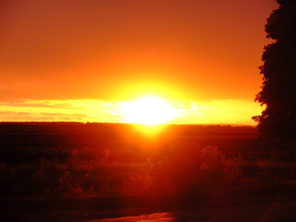 Нова Гнилиця з panoramio.com - Нова Гнилиця