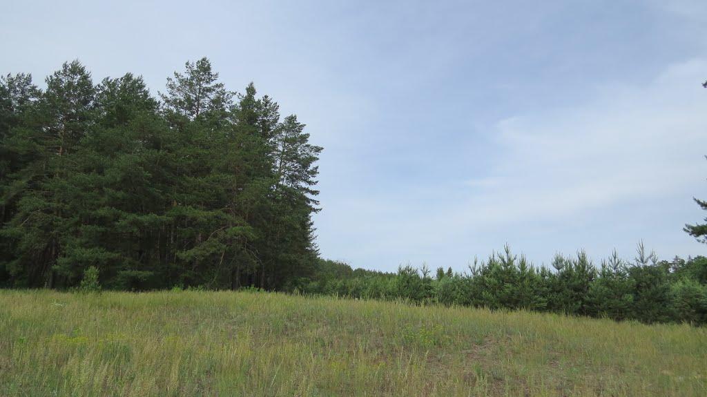 Софіївка з panoramio.com - Софиевка