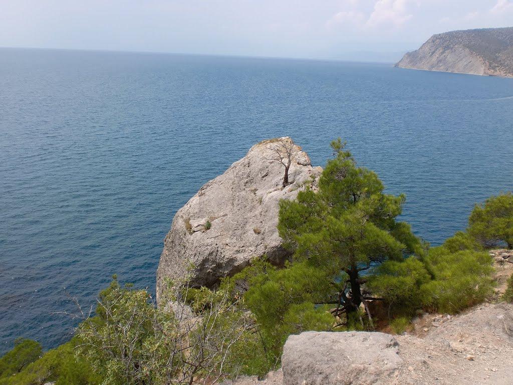 Долина з panoramio.com - Долина