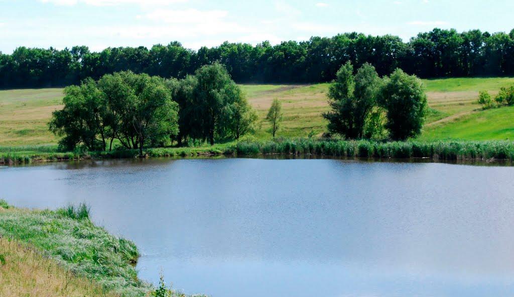 Городецьке з panoramio.com - Городецкое