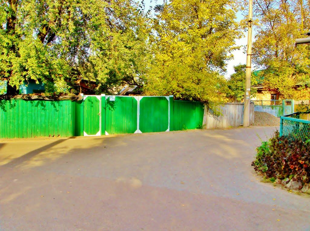 Димер з panoramio.com - Дымер