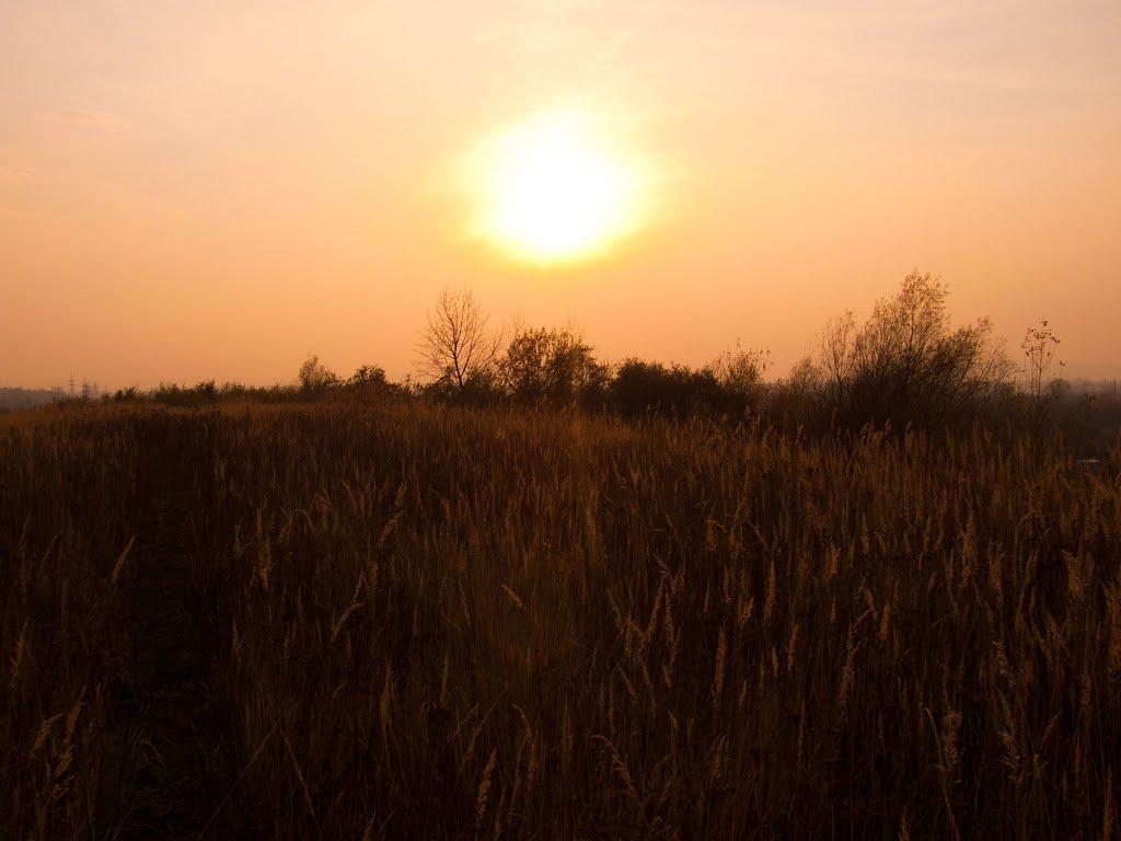 Коломия з panoramio.com - Коломыя