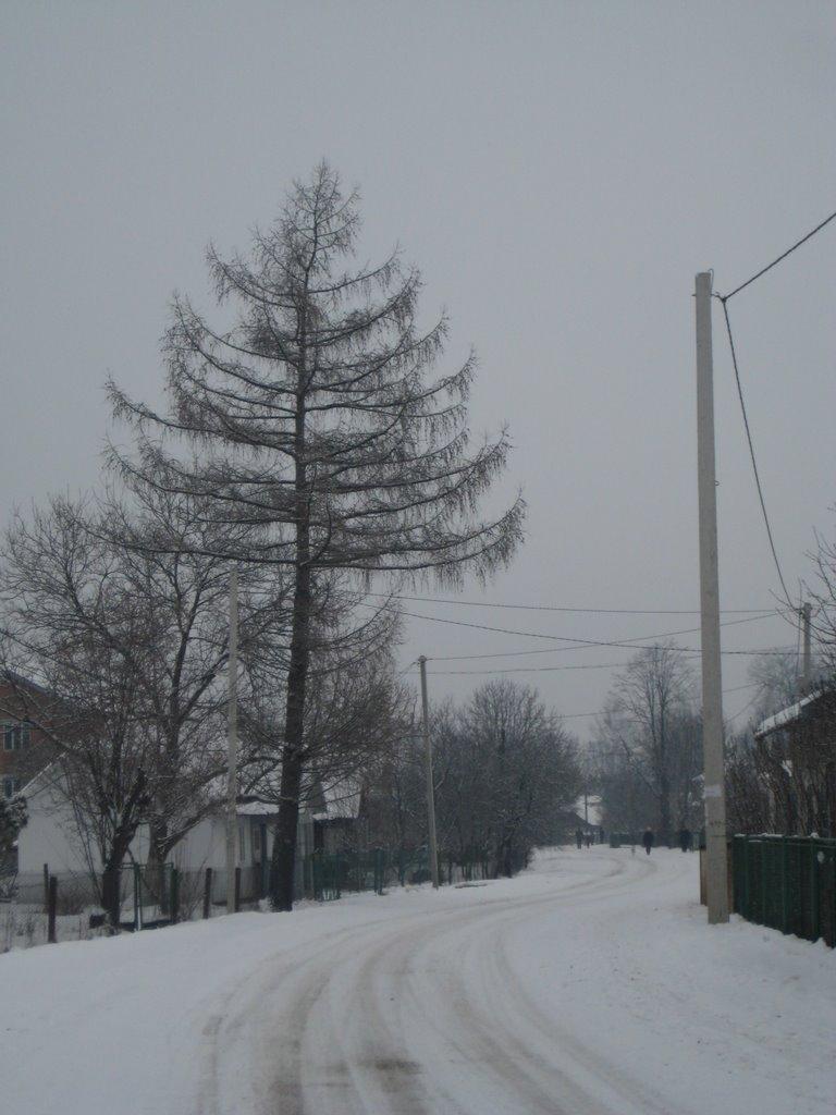 Солотвин з panoramio.com - Солотвин