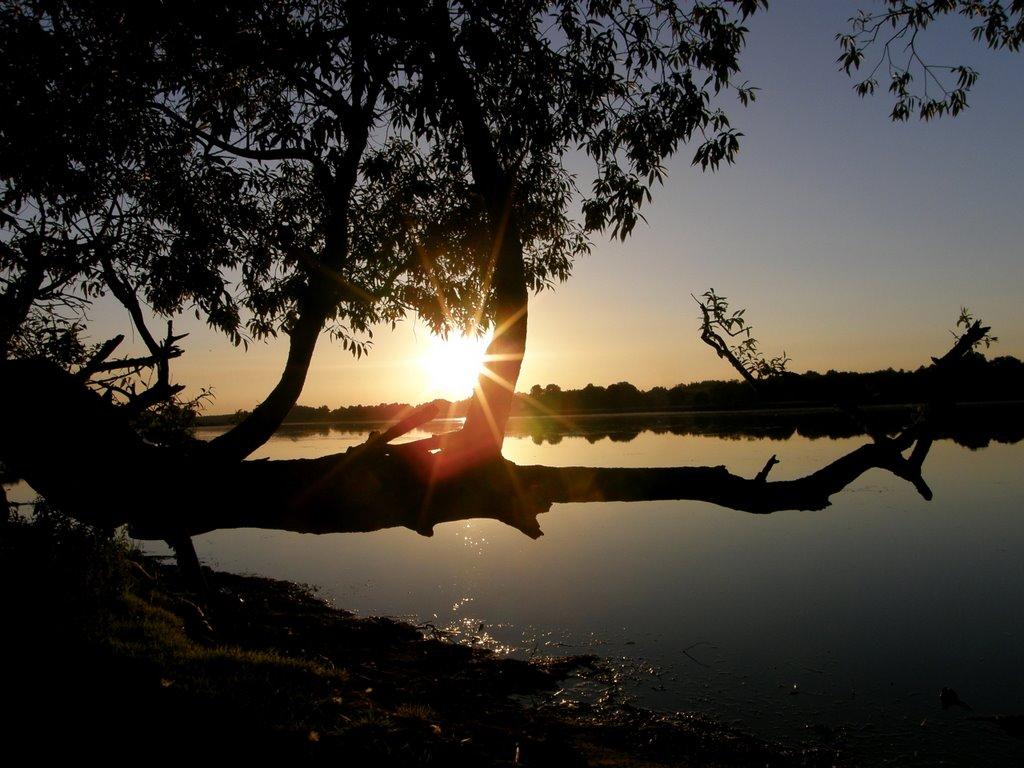 Борушківці з panoramio.com - Борушківці