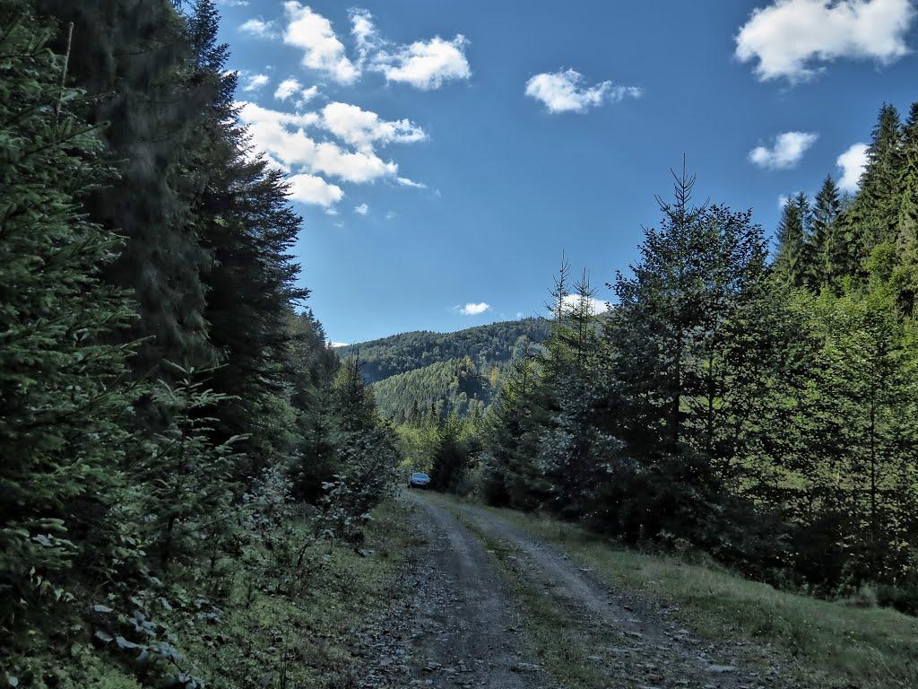 Нижня Рожанка з panoramio.com - Нижняя Рожанка