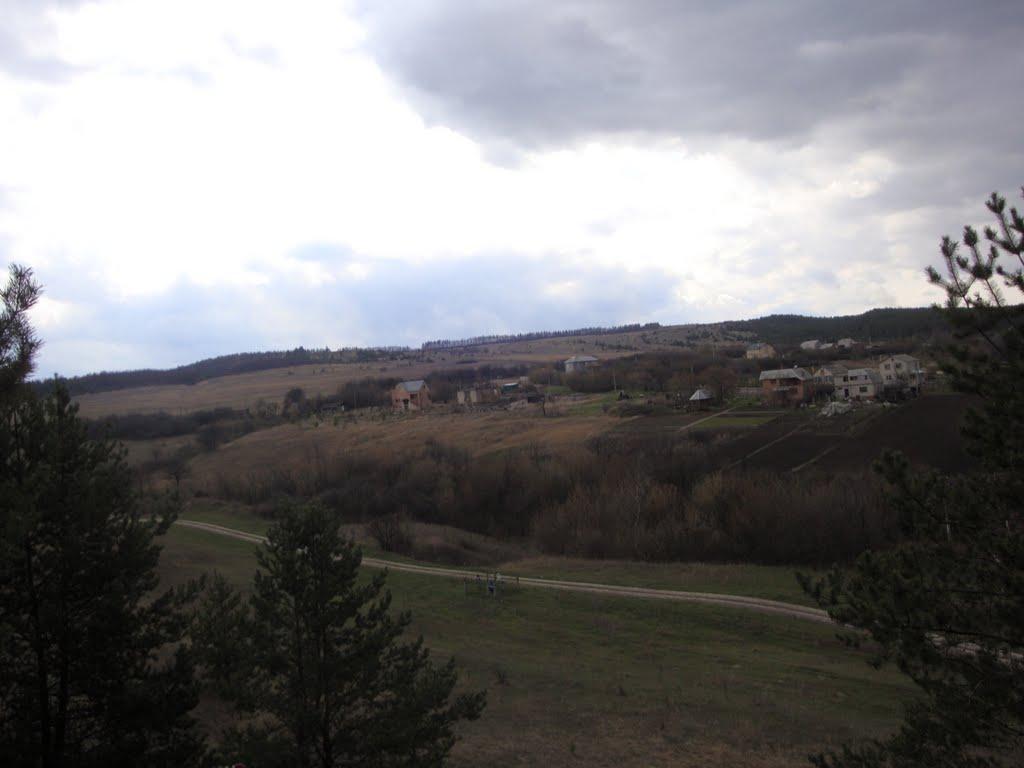 Крива Лука з panoramio.com - Крива Лука