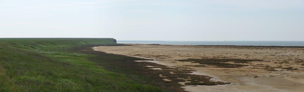 Львове з panoramio.com - Львове