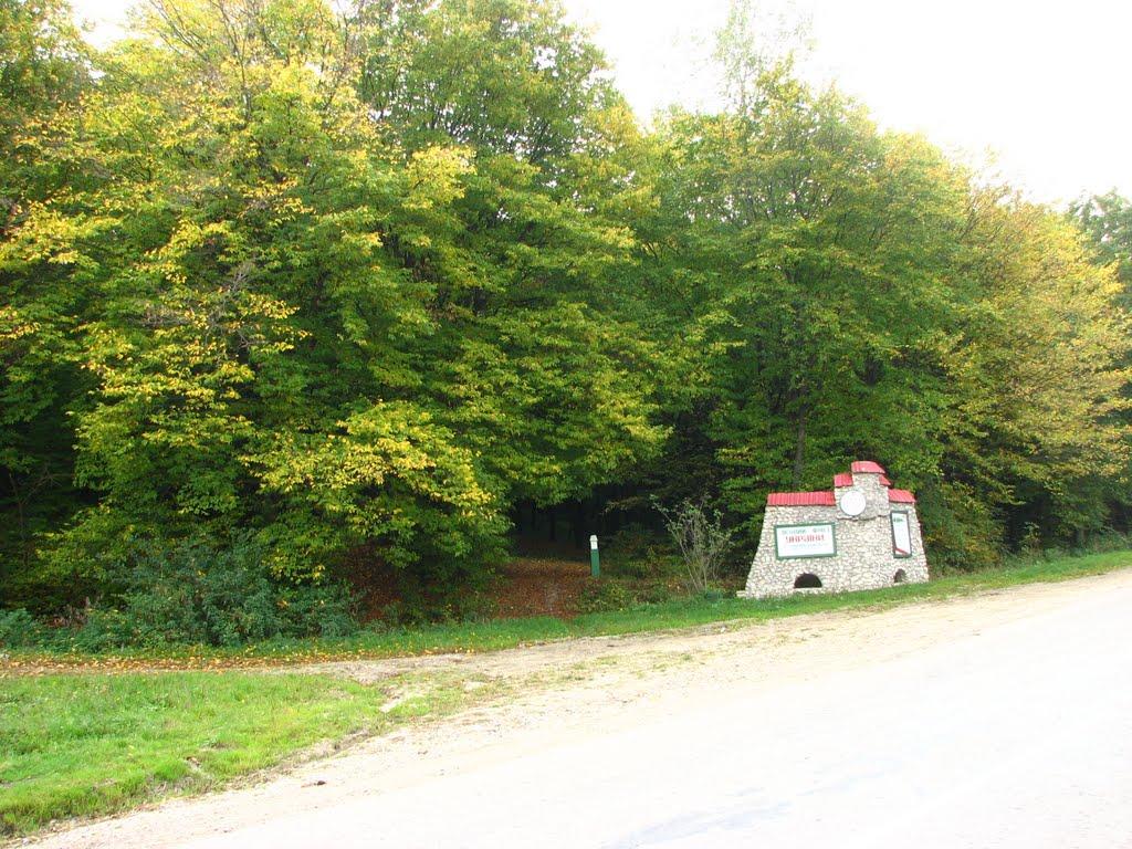 Івахнівці з panoramio.com - Ивахновцы