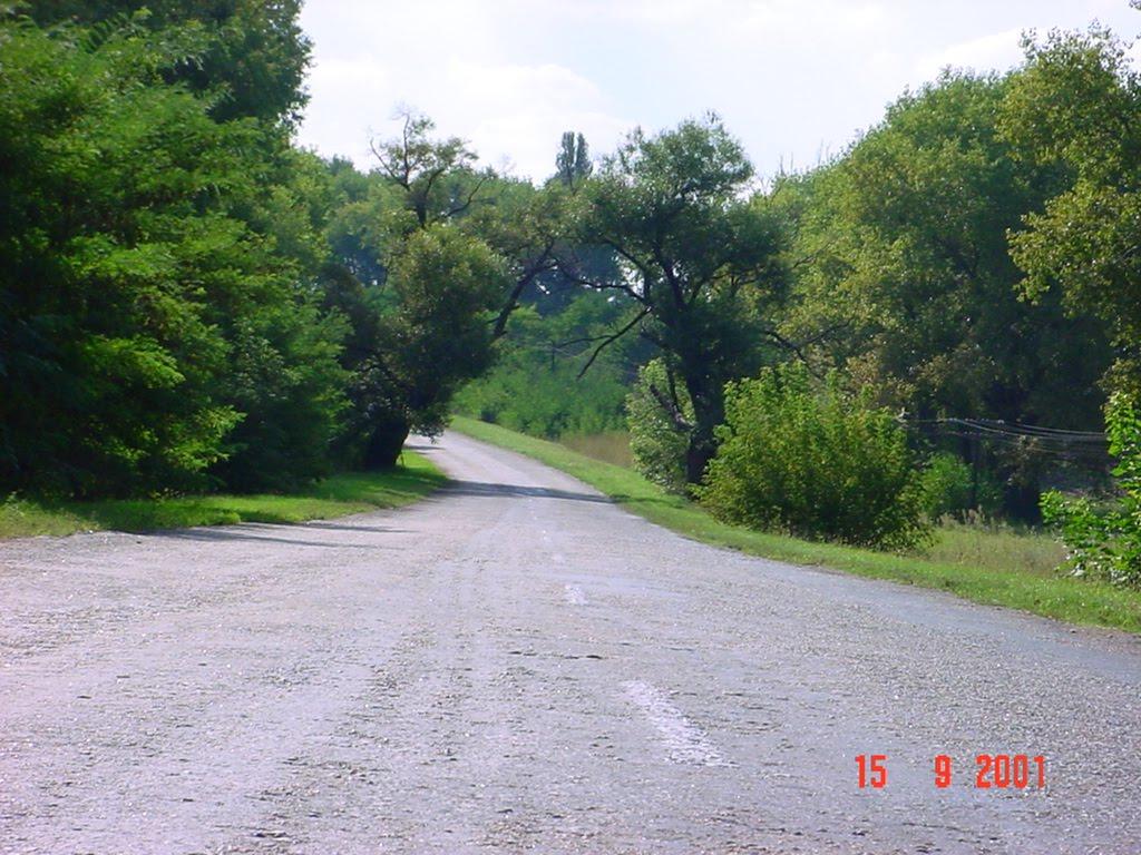 Вершаці з panoramio.com