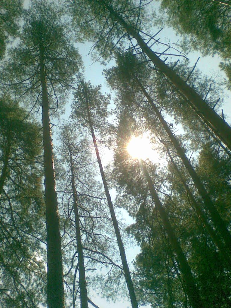Щурове з panoramio.com - Щурово