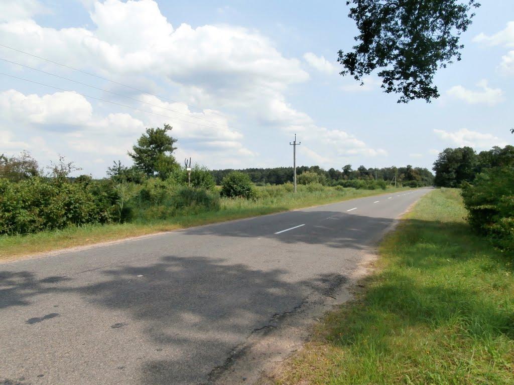Ниговищі з panoramio.com - Ниговищи