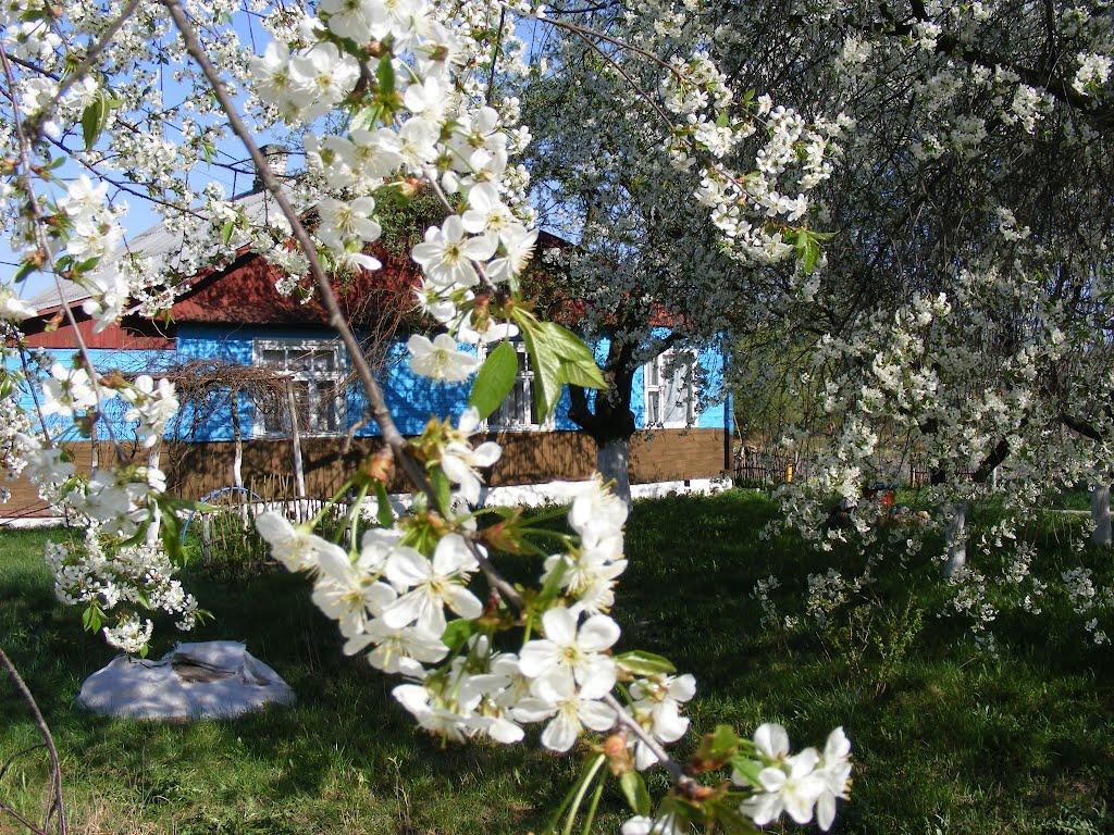 Перешпа з panoramio.com - Перешпа