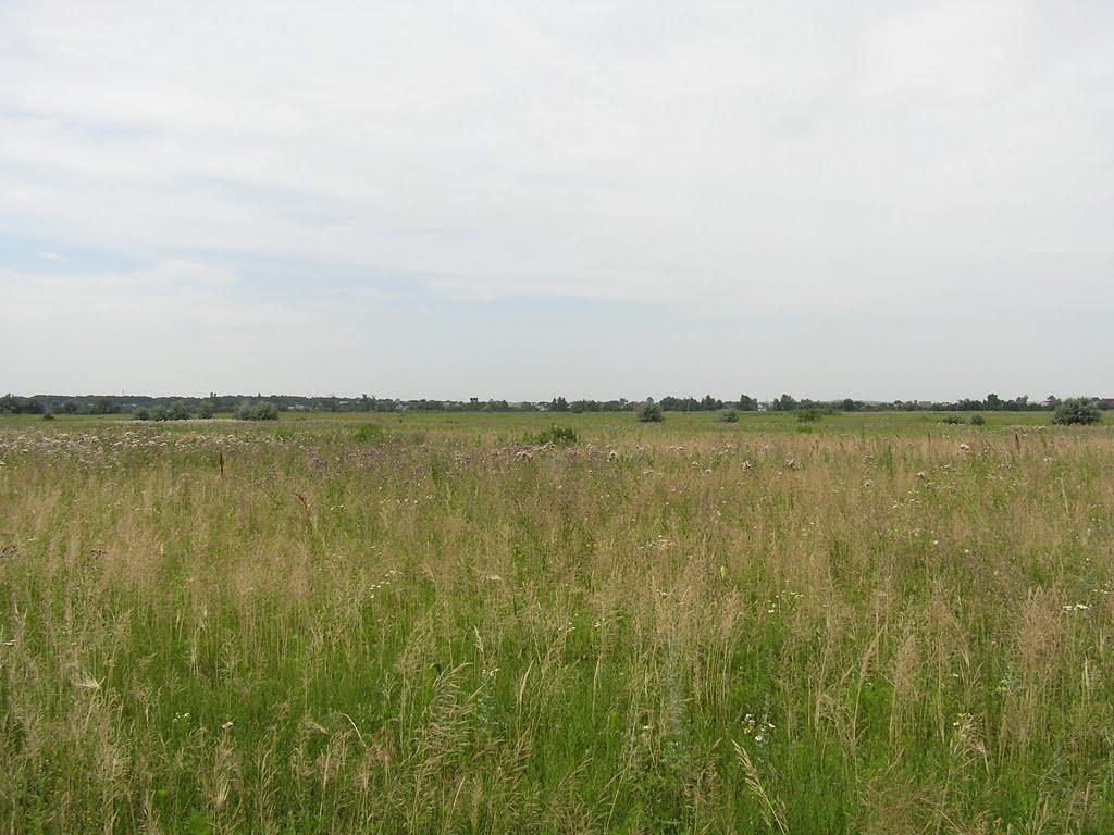 Ювілейне з panoramio.com - Yuvileyne