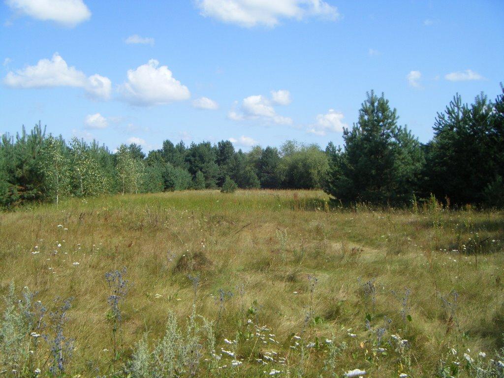 Перешпа з panoramio.com - Перешпа
