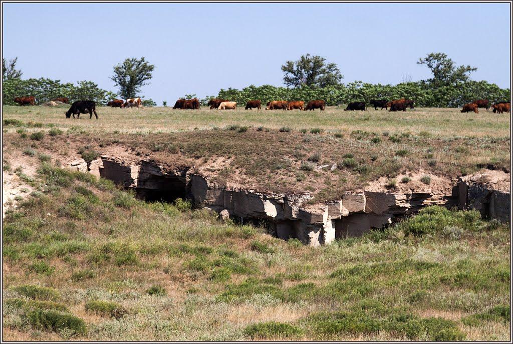 Кам'янське з panoramio.com - Каменское